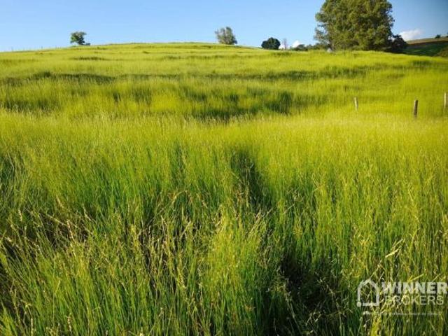 Sítio e chácara venda em Região Geográfica Imediata de Umuarama, Região Metropolitana de Umuarama