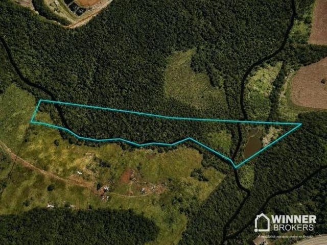 Sítio e chácara venda em Região Geográfica Imediata de Maringá, Maringá