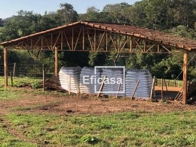 Sítio e chácara venda em Mirassol