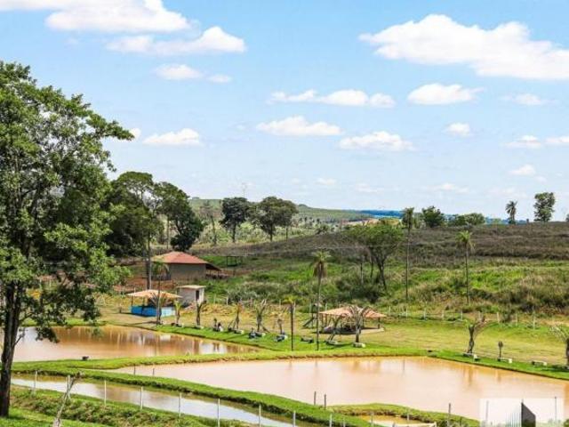 Sítio e chácara venda em Região Imediata de São José do Rio Preto, Região Metropolitana de São José do Rio Preto