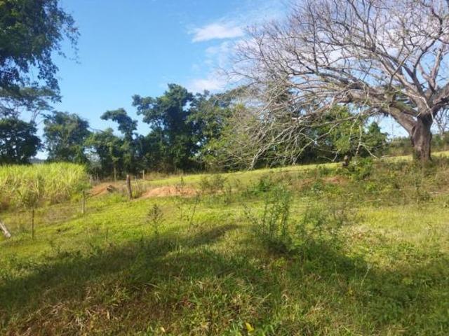 Sítio e chácara venda em Mococa, Região Geográfica Intermediária de Campinas