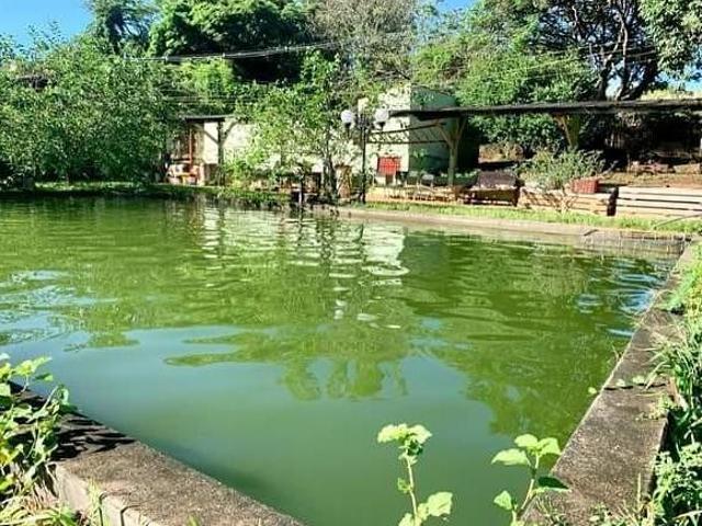 Sítio e chácara venda em Região Imediata de São José do Rio Pardo-Mococa, Região Metropolitana de Ribeirão Preto
