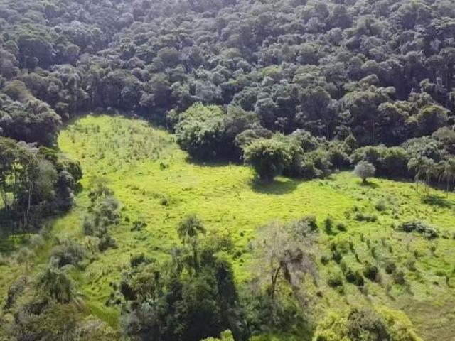 Sítio e chácara venda em Região Imediata de Amparo, Monte Alegre do Sul