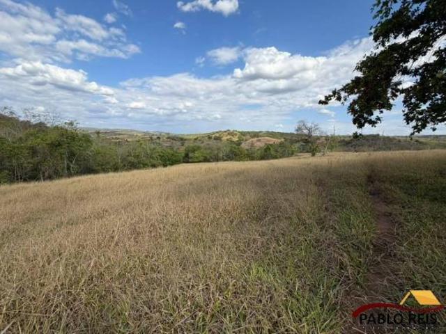 Sítio e chácara venda em Monte Carmelo, Montes Claros