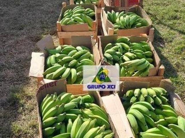 Sítio e chácara venda em Região Imediata de Campinas, Região Metropolitana de Campinas
