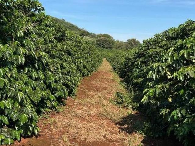 Sítio e chácara venda em Monte Santo de Minas, Região Geográfica Intermediária de Varginha