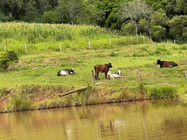 Sítio e chácara venda em Monte Santo de Minas, Região Geográfica Intermediária de Varginha