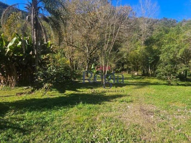 Sítio e chácara venda em Gramado