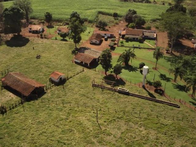 Sítio e chácara venda em Morro Agudo