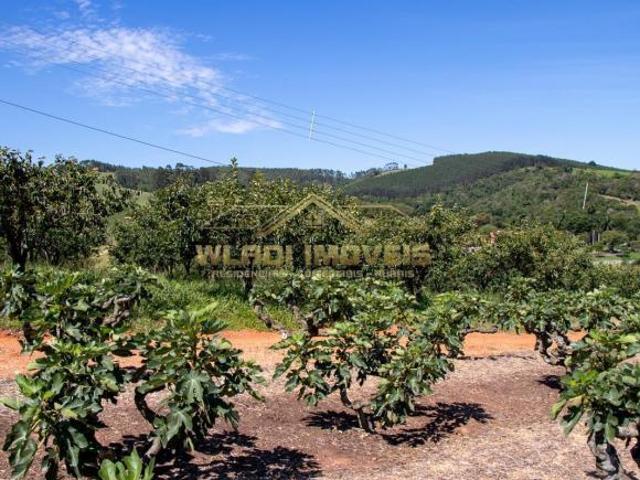 Sítio e chácara venda em Região Imediata de Jundiaí, Região Metropolitana de Campinas