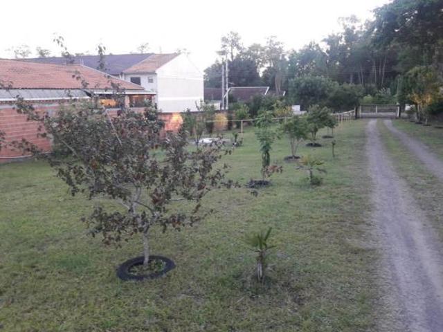Sítio e chácara venda em Região Geográfica Imediata de Porto Alegre, Região Metropolitana de Porto Alegre