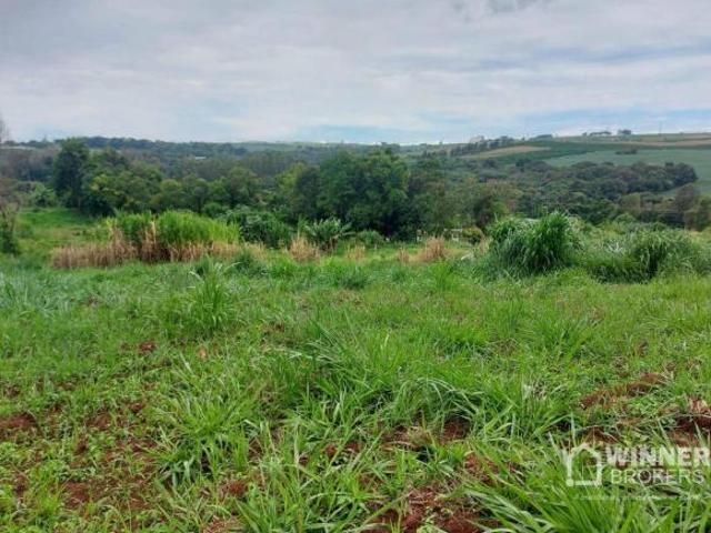 Sítio e chácara venda em Região Geográfica Imediata de Maringá, Nova Esperança
