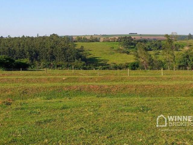 Sítio e chácara venda em Região Geográfica Imediata de Maringá, Nova Esperança