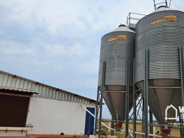 Sítio e chácara venda em Região Geográfica Imediata de Maringá, Nova Esperança