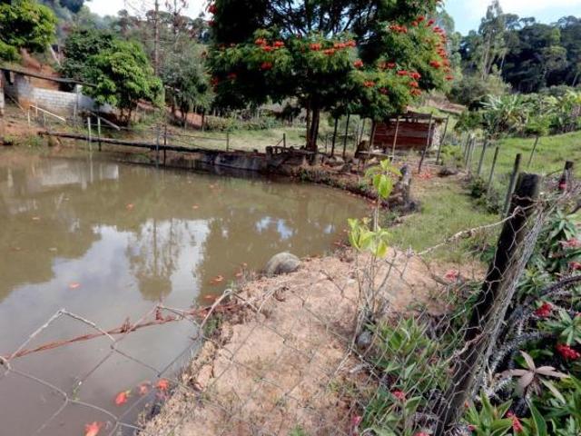 Sítio e chácara venda em Região Geográfica Imediata de Belo Horizonte, Região Metropolitana de Belo Horizonte