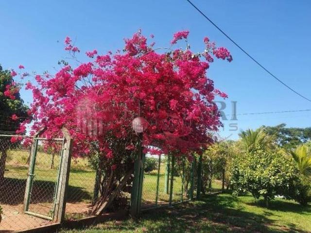 Sítio e chácara venda em Região Imediata de São José do Rio Preto, Região Metropolitana de São José do Rio Preto