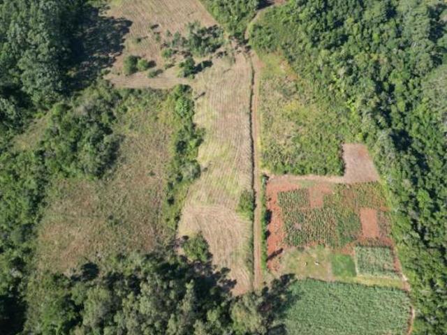 Sítio e chácara venda em Região Geográfica Imediata de Tramandaí - Osório, Aglomeração Urbana do Litoral Norte