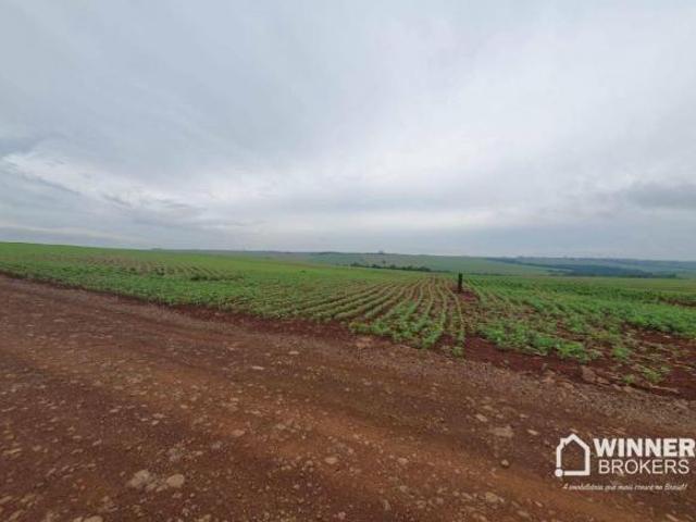 Sítio e chácara venda em Região Geográfica Imediata de Maringá, Ourizona