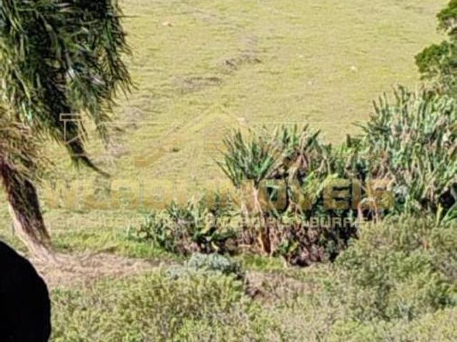 Sítio e chácara venda em Região Geográfica Imediata de Pouso Alegre, Ouro Fino