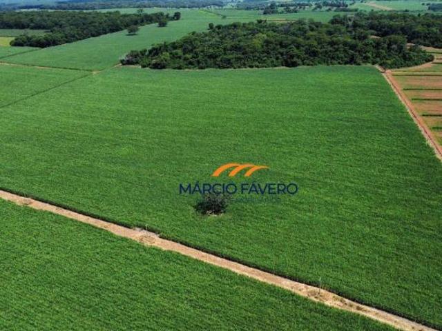 Sítio e chácara venda em Região Imediata de Fernandópolis, Ouroeste
