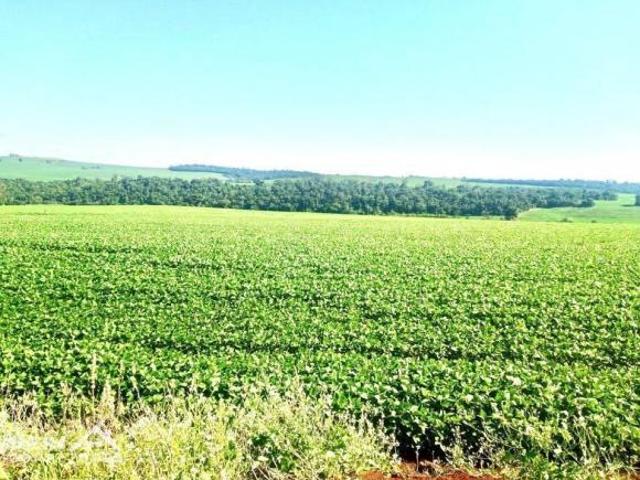 Sítio e chácara venda em Paiquerê, Londrina