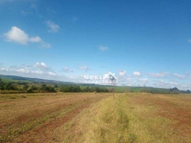 Sítio e chácara venda em Paiquerê, Londrina
