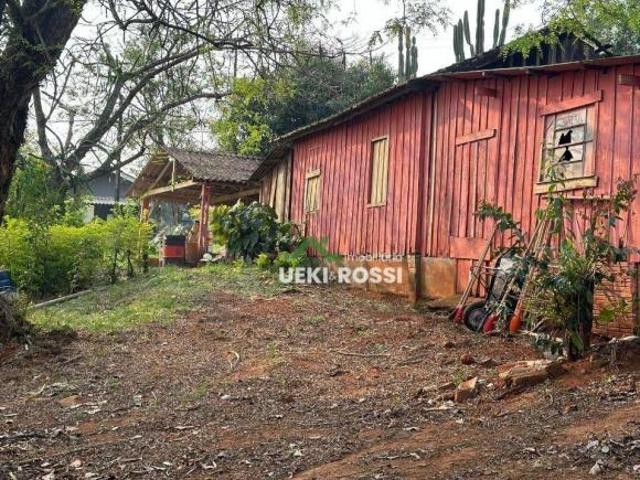 Sítio e chácara venda em Paiquerê, Londrina