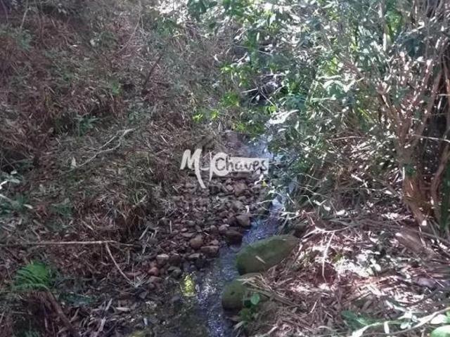 Sítio e chácara venda em Região Geográfica Imediata de Santa Maria, Santa Maria