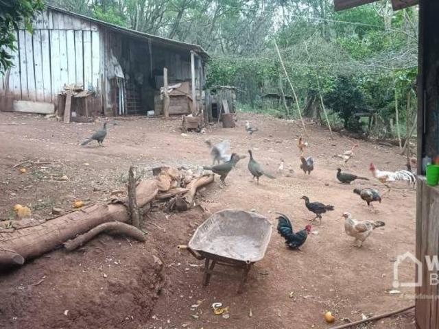 Sítio e chácara venda em Região Geográfica Imediata de Pitanga, Palmital