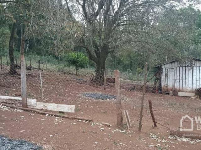 Sítio e chácara venda em Palmital, Região Geográfica Intermediária de Guarapuava