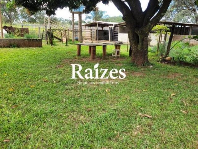 Sítio e chácara venda em Panorama, Uberlândia