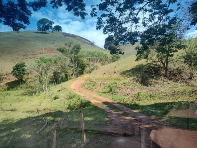 Sítio e chácara venda em Região Geográfica Imediata de Itajubá, Paraisópolis