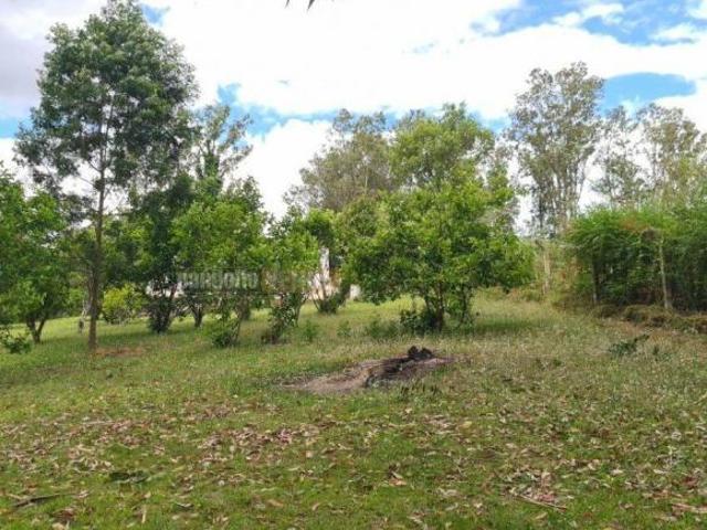 Sítio e chácara venda em Região Geográfica Imediata de Porto Alegre, Região Metropolitana de Porto Alegre