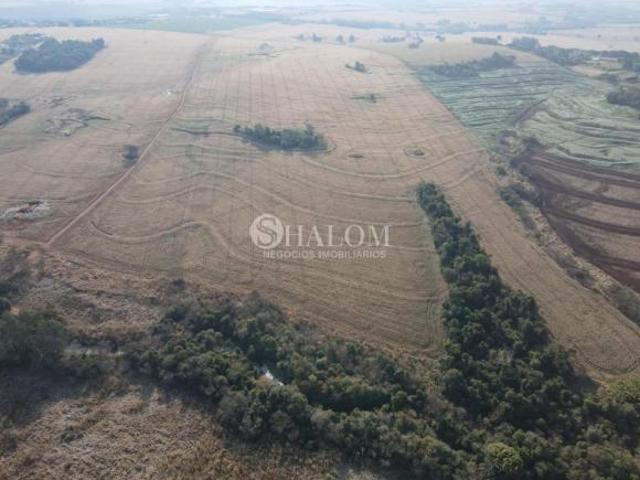 Sítio e chácara venda em Região Geográfica Imediata de Maringá, Maringá