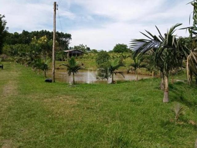 Sítio e chácara venda em Região Geográfica Imediata de Porto Alegre, Região Metropolitana de Porto Alegre