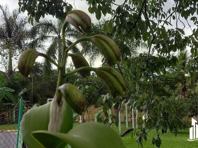 Sítio e chácara venda em Vila Alemã, Rio Claro