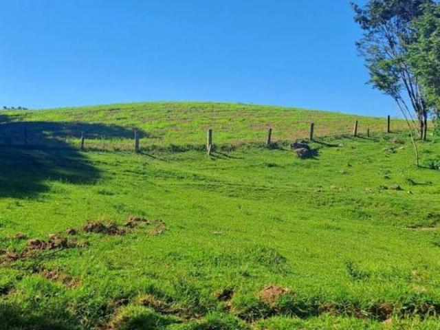 Sítio e chácara venda em Passo do Sobrado