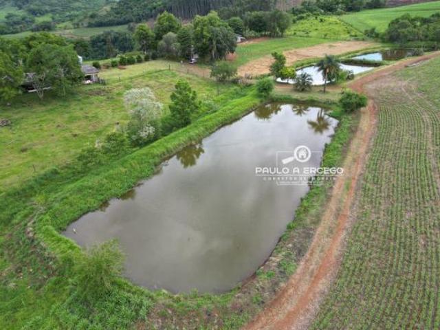 Sítio e chácara venda em Região Geográfica Imediata de Pato Branco, Região Sul