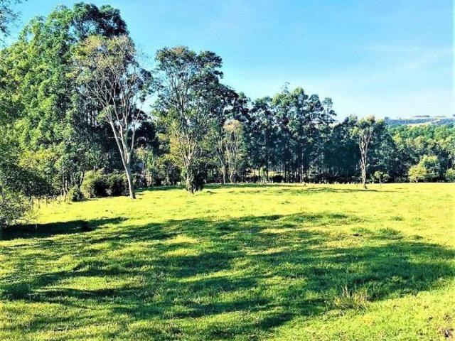 Sítio e chácara venda em Região Imediata de Birigui-Penápolis, Birigui