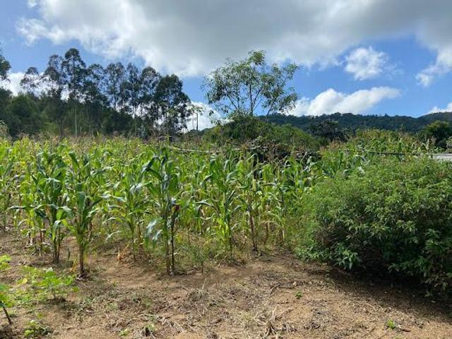 Sítio e chácara venda em Região Imediata de Bragança Paulista, Pedra Bela