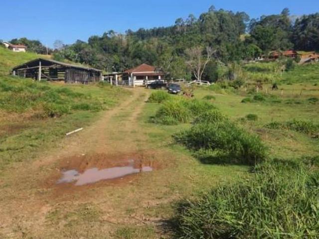Sítio e chácara venda em Região Imediata de Bragança Paulista, Pedra Bela