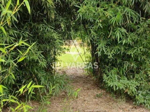 Sítio e chácara venda em Região Geográfica Imediata de Pelotas, Aglomeração Urbana do Sul