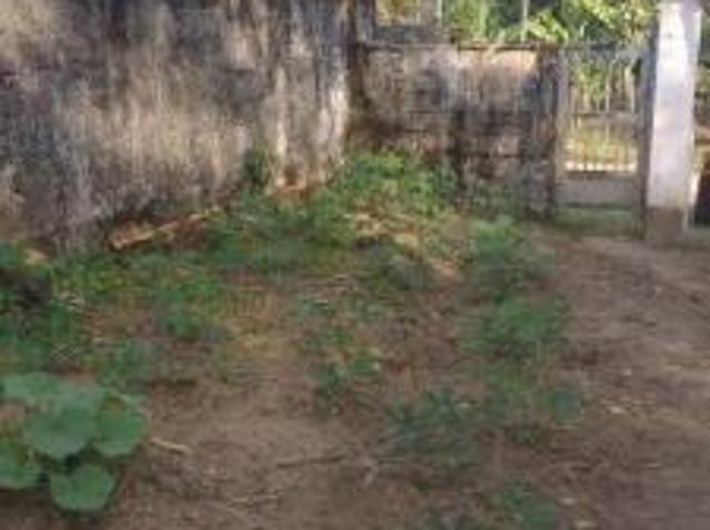 Sítio e chácara venda em Região Imediata de Santos, Região Metropolitana da Baixada Santista
