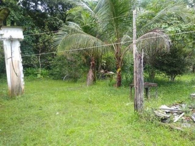 Sítio e chácara venda em Região Imediata de Santos, Região Metropolitana da Baixada Santista