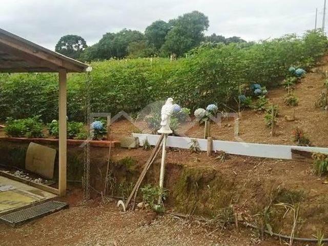 Sítio e chácara venda em Região Geográfica Imediata de Curitiba, Pien