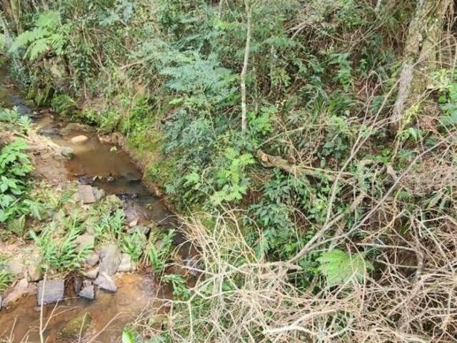 Sítio e chácara venda em Piracaia