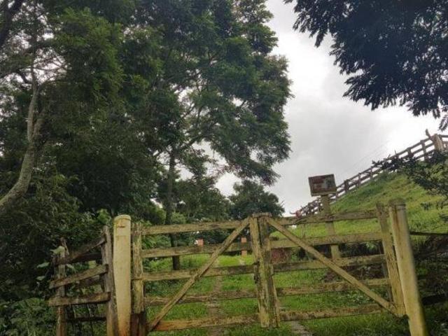 Sítio e chácara venda em Piracaia