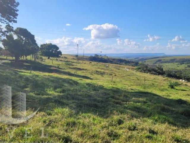 Sítio e chácara venda em Piracicaba