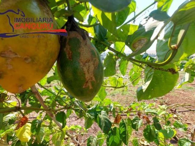 Sítio e chácara venda em Região Imediata de Piraju, Piraju