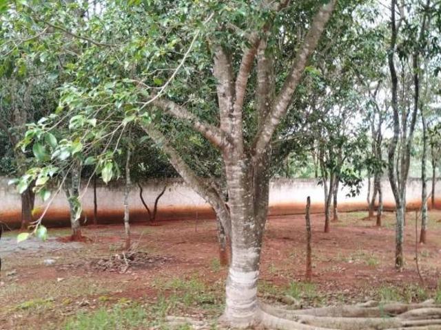 Sítio e chácara venda em Região Geográfica Imediata de Águas Lindas de Goiás, Região Integrada de Desenvolvimento do Distrito Federal e Entorno